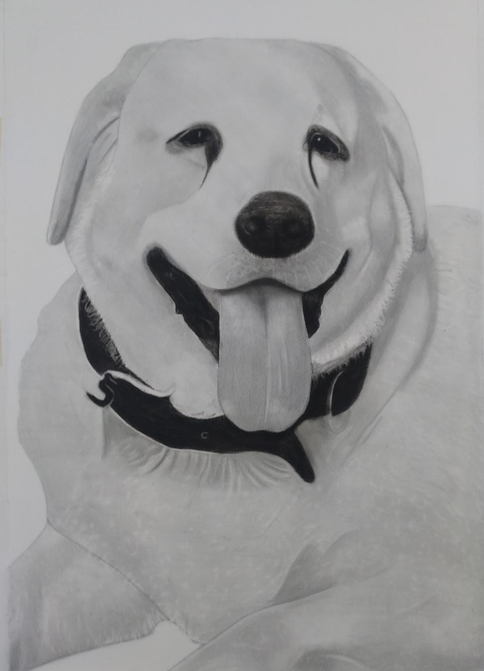 Customize Pet Portrait -Hand-Drawn Black & White Masterpiece