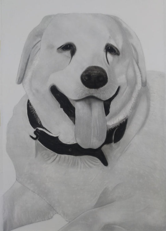 Customize Pet Portrait -Hand-Drawn Black & White Masterpiece